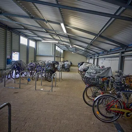 Sam كوكسهافن